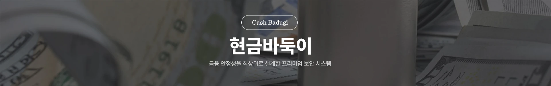 현금바둑이 금융 안정성 설계 프리미엄 보안 시스템 메인 배너
